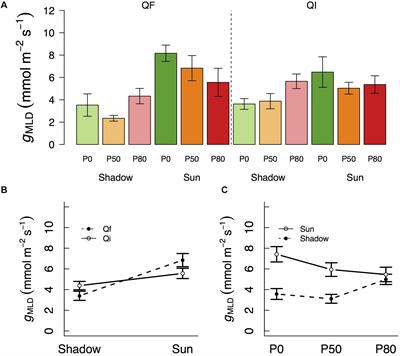 Radiation and Drought Impact Residual Leaf Conductance in Two Oak Species With Implications for Water Use Models